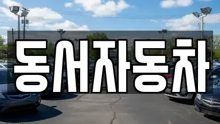 경남 창원시 마산합포구 신흥동 중고차 전문 동서자동차