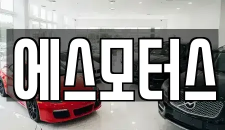 경남 창원시 마산합포구 신흥동 중고차 전문 에스모터스