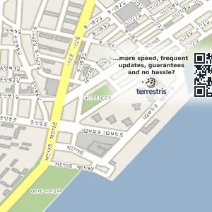 경남 창원시 마산합포구 신흥동 중고차매입 전국중고차매매-중고차수출,사고노후차매입 위치