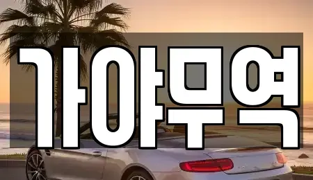 경남 창원시 성산구 내동 중고차 전문 가야무역