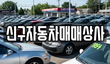 경남 창원시 성산구 성주동 중고차 전문 신구자동차매매상사