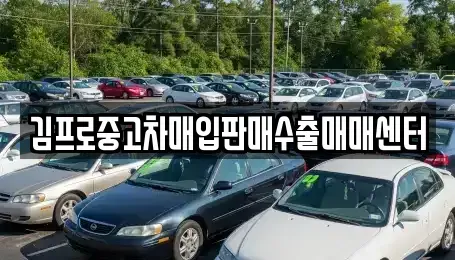 경남 창원시 성산구 성주동 중고차매입 전문 김프로중고차매입판매수출매매센터