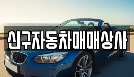 경남 창원시 진해구 인의동 중고차 전문 신구자동차매매상사