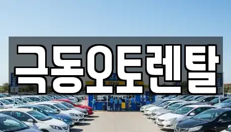 경북 경산시 삼풍동 렌트카 전문 극동오토렌탈