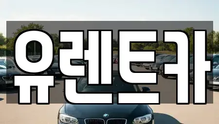 경북 경산시 삼풍동 렌트카 전문 유렌트카