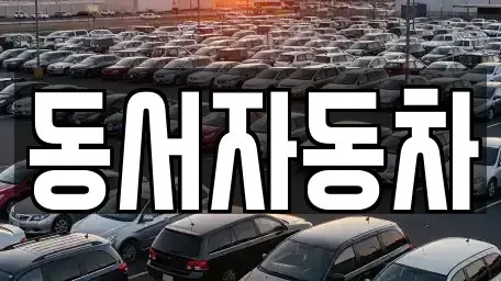 경북 경산시 삼풍동 중고차 전문 동서자동차