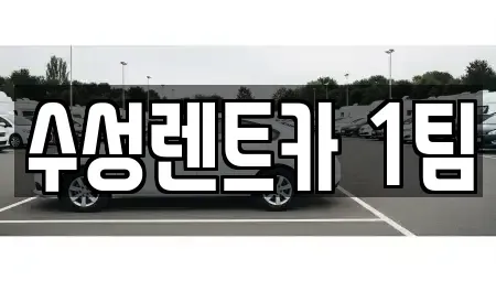 경북 구미시 양호동 렌트카 전문 수성렌트카 1팀