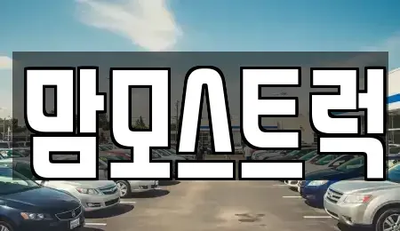 경북 칠곡군 왜관읍 중고차 전문 맘모스트럭