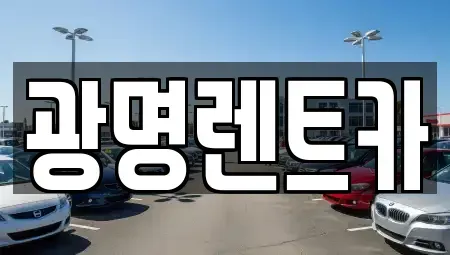 경북 포항시 북구 대신동 렌트카 전문 광명렌트카