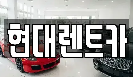 경북 포항시 북구 대신동 렌트카 전문 현대렌트카