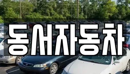 경북 포항시 북구 대신동 중고차매매 전문 동서자동차