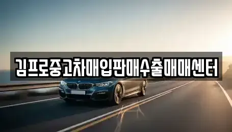 경북 포항시 북구 대신동 중고차매입 전문 김프로중고차매입판매수출매매센터