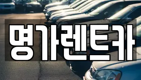 경북 포항시 북구 창포동 렌트카 전문 명가렌트카