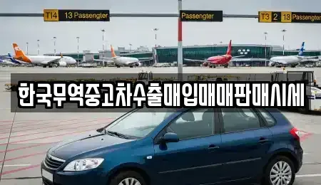 경북 포항시 북구 창포동 중고차매매 전문 한국무역중고차수출매입매매판매시세