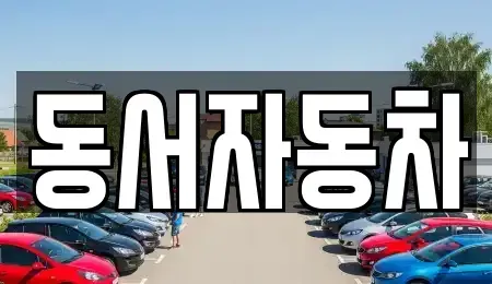 경상남도 산청군 신등면 중고차매매 전문 동서자동차
