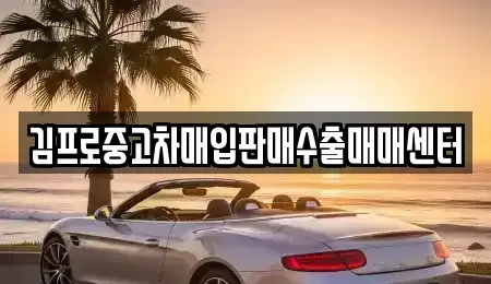 경상남도 진주시 중안동 중고차 전문 김프로중고차매입판매수출매매센터
