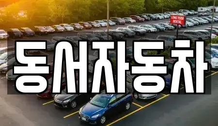 경상남도 진주시 중안동 중고차 전문 동서자동차