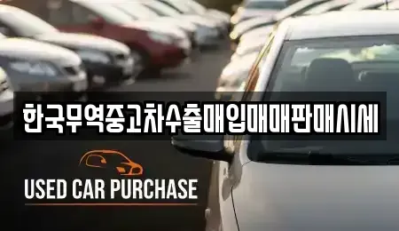 경상남도 진주시 중안동 중고차 전문 한국무역중고차수출매입매매판매시세
