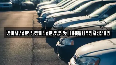 경상남도 창원시 마산합포구 평화동 중고차매입 전문 강아지무료분양고양이무료분양입양토끼거북말티푸먼치킨유기견
