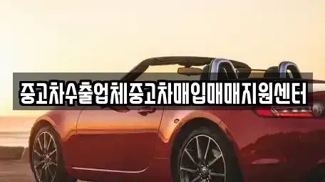 경상남도 창원시 마산회원구 중고차매입 전문 중고차수출업체중고차매입매매지원센터