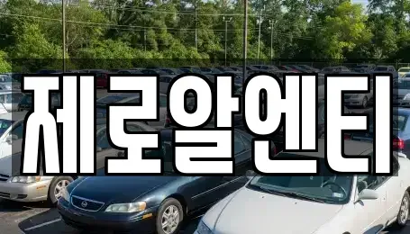 경상남도 창원시 진해구 성내동 렌트카 전문 제로알엔티
