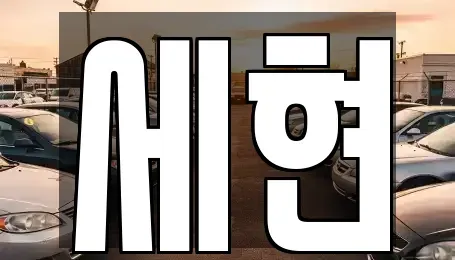 경상남도 함안군 칠서면 중고차 전문 세현