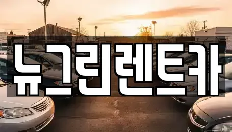 경상북도 칠곡군 지천면 렌트카 전문 뉴그린렌트카