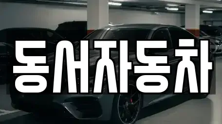 경상북도 칠곡군 지천면 중고차 전문 동서자동차