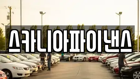 경상북도 칠곡군 지천면 중고차 전문 스카니아파이낸스