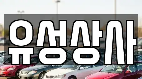 경상북도 칠곡군 지천면 중고차 전문 유성상사