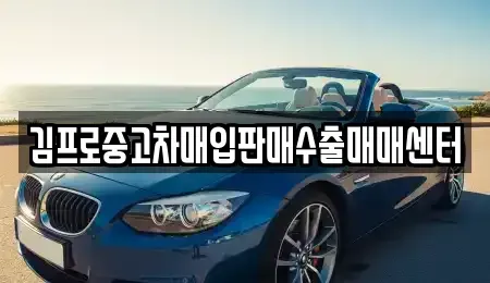 경상북도 포항시 북구 덕수동 중고차매입 전문 김프로중고차매입판매수출매매센터