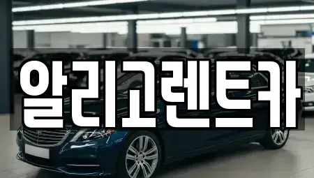 광주 서구 마륵동 렌트카 전문 알리고렌트카