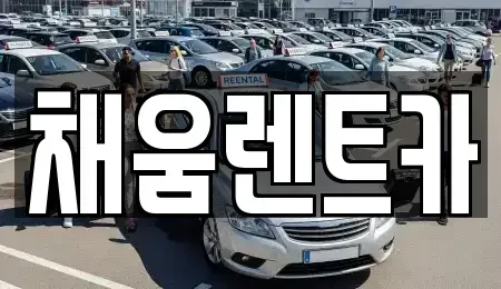 광주 서구 마륵동 렌트카 전문 채움렌트카