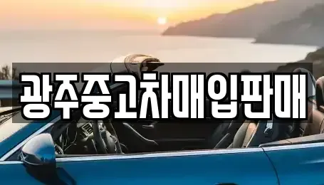 광주 서구 마륵동 중고차 전문 광주중고차매입판매