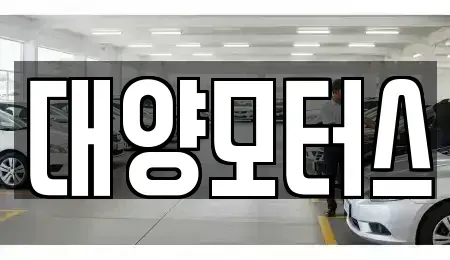 광주 서구 마륵동 중고차 전문 대양모터스