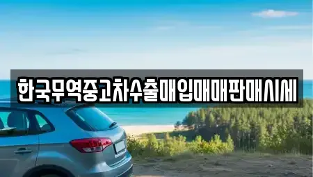 광주광역시 동구 산수동 중고차매매 전문 한국무역중고차수출매입매매판매시세