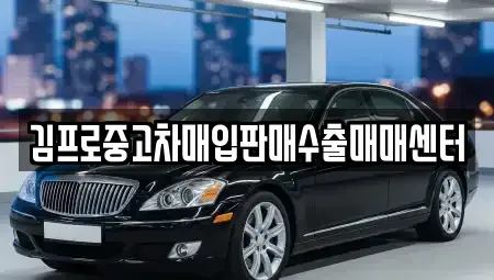 광주광역시 동구 산수동 중고차매입 전문 김프로중고차매입판매수출매매센터