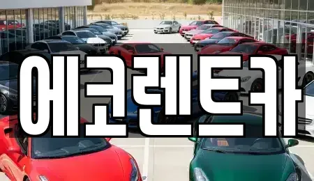 광주광역시 북구 풍향동 렌트카 전문 에코렌트카