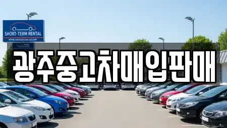 광주광역시 북구 풍향동 중고차 전문 광주중고차매입판매