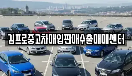 광주광역시 북구 풍향동 중고차매입 전문 김프로중고차매입판매수출매매센터