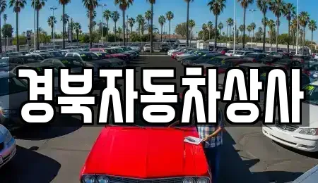 대구 서구 상리동 중고차매매 전문 경북자동차상사