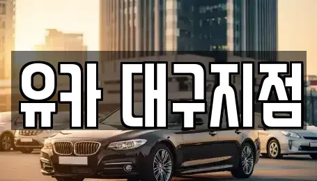 대구 서구 상리동 중고차매매 전문 유카 대구지점