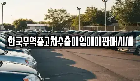 대구 서구 상리동 중고차매입 전문 한국무역중고차수출매입매매판매시세