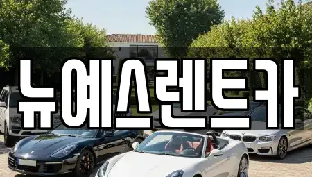 대구 중구 상서동 렌트카 전문 뉴예스렌트카