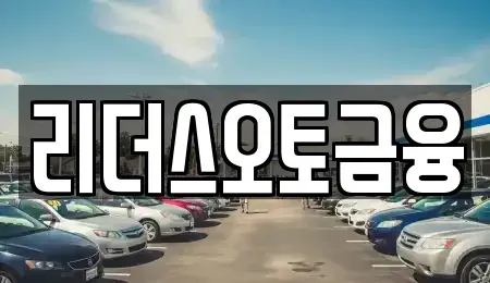 대구 중구 상서동 장기렌트카 전문 리더스오토금융