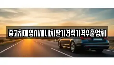 대구 중구 상서동 중고차매입 전문 중고차매입시세내차팔기견적가격수출업체