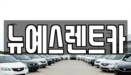 대구광역시 중구 덕산동 렌트카 전문 뉴예스렌트카