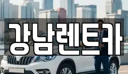 대전 동구 효동 렌트카 전문 강남렌트카