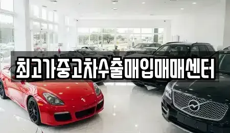 대전 동구 효동 중고차매입 전문 최고가중고차수출매입매매센터