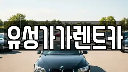 대전 유성구 신봉동 렌트카 전문 유성가가렌트카